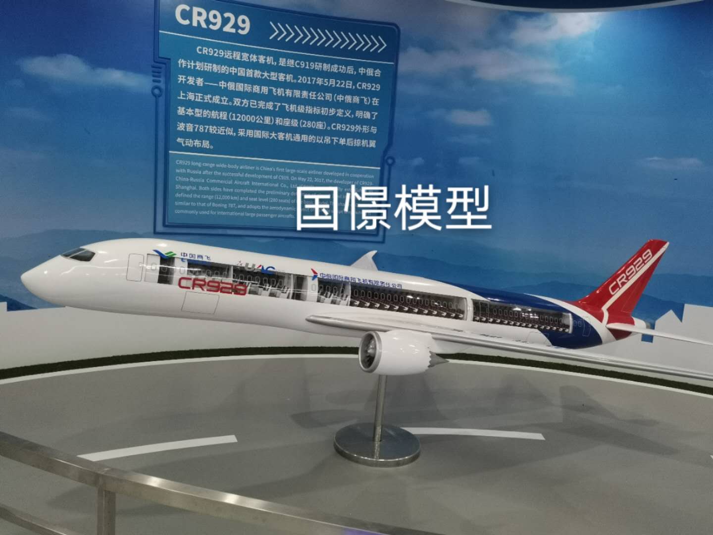 临武县飞机模型