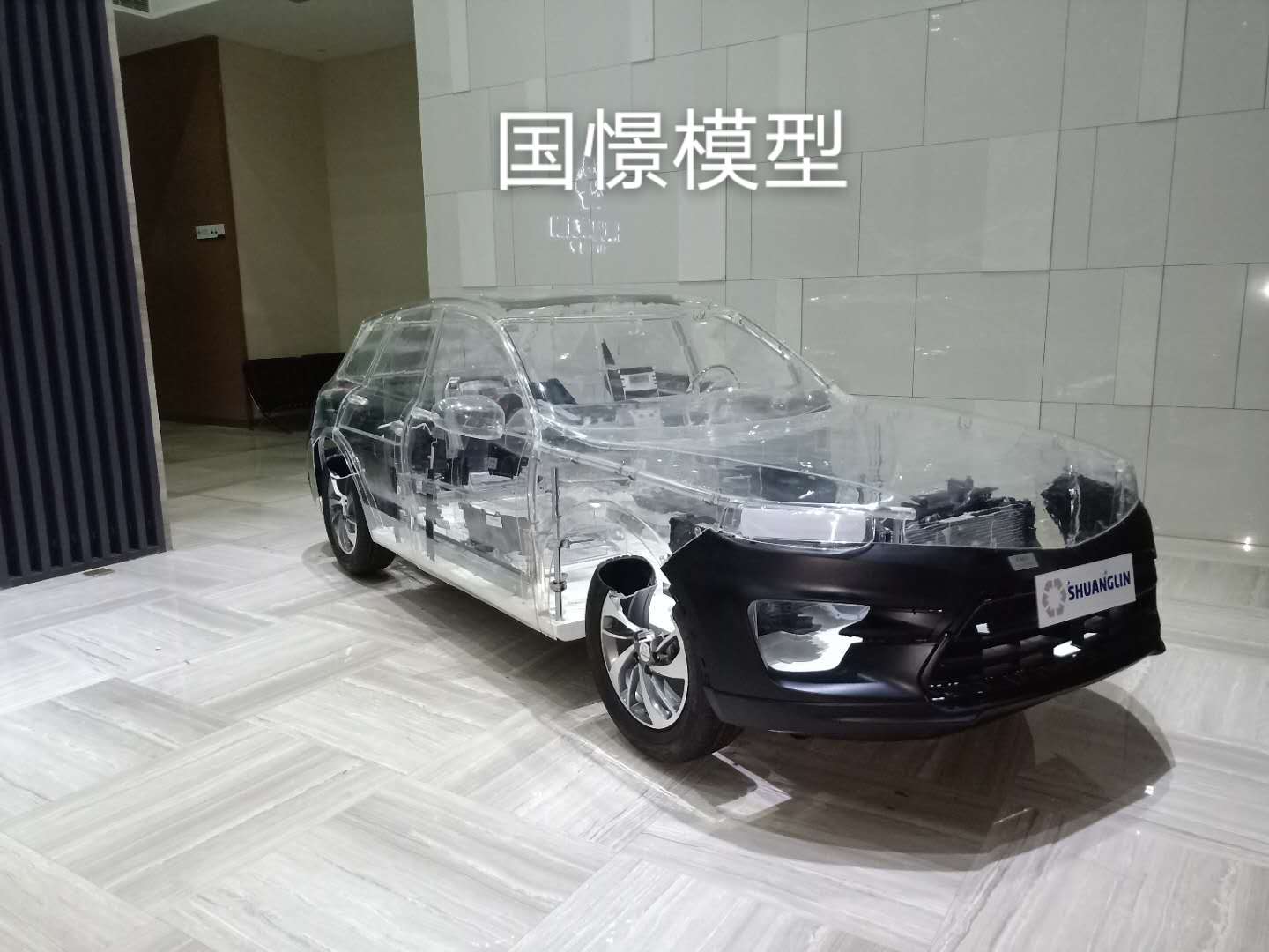 临武县透明车模型